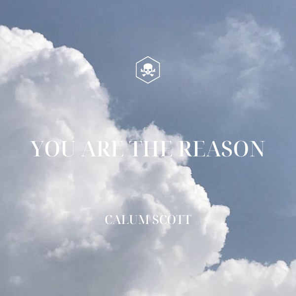 You Are The Reason – Calum Scott
